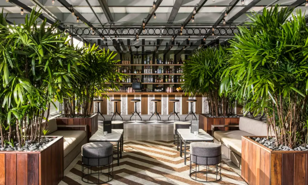 rooftop-1wlo_5d8d019c6b445-1000x600